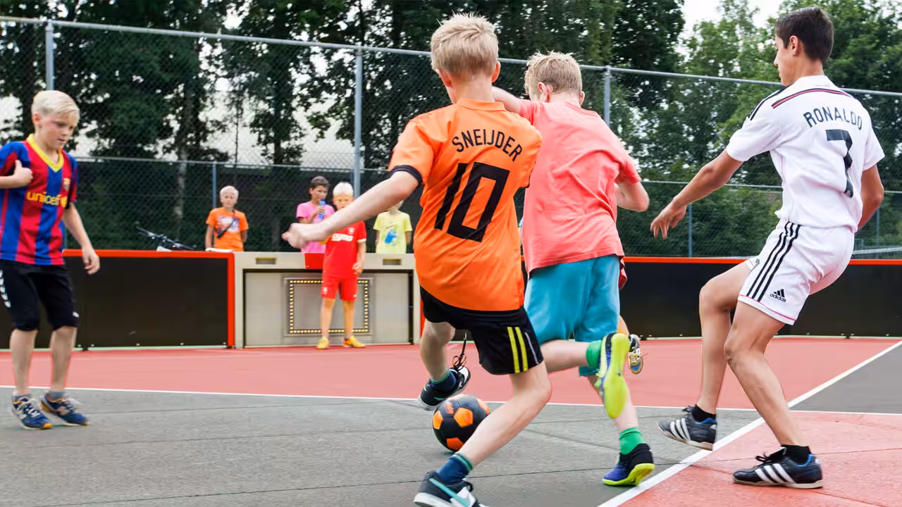 Lappset Toro - Mehrzwecksportplatz - 2010