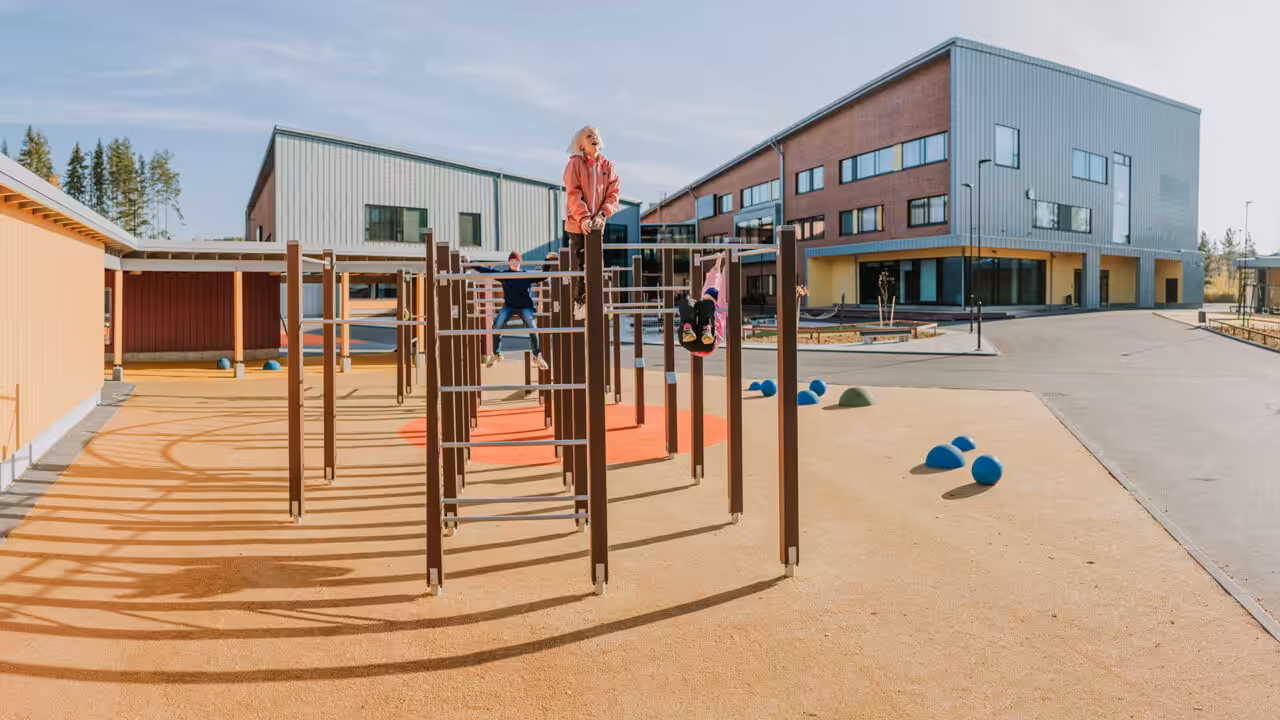 Denken Sie zum Beispiel an einen Calisthenics-Anlage. 