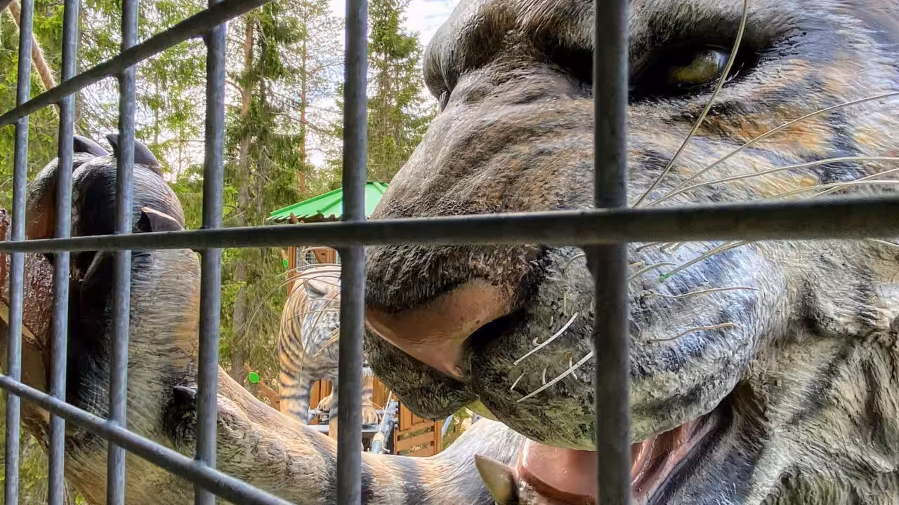 Abenteuer im Tigerland: Kinder erkunden mutig die kletterfreundlichen Strukturen des Tiger-Spielplatzes, die das natürliche Habitat der Tiger nachahmen.